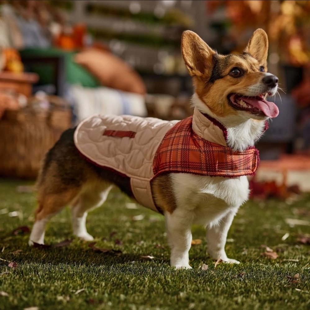 Frisco By Chew Plaid Pet Coat Red and Cream L